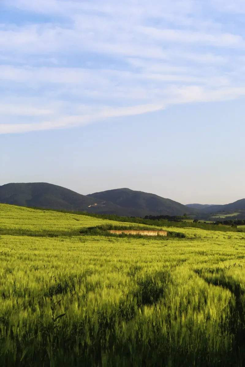 Campo Verde Sierra S.L.