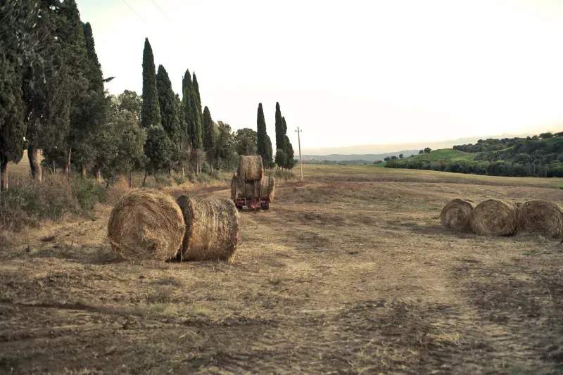 Cómo preparar la finca para una temporada más productiva