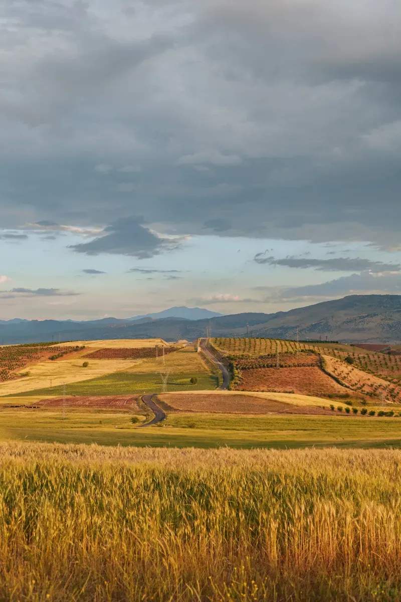 Campo Verde Sierra S.L. 3