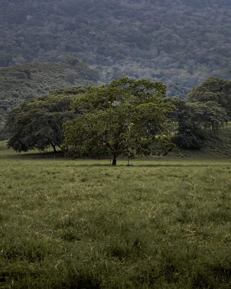 Campo Verde Sierra S.L. 5