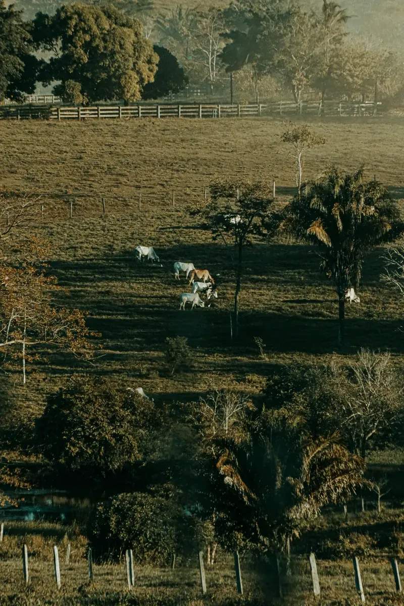 Campo Verde Sierra S.L. 7