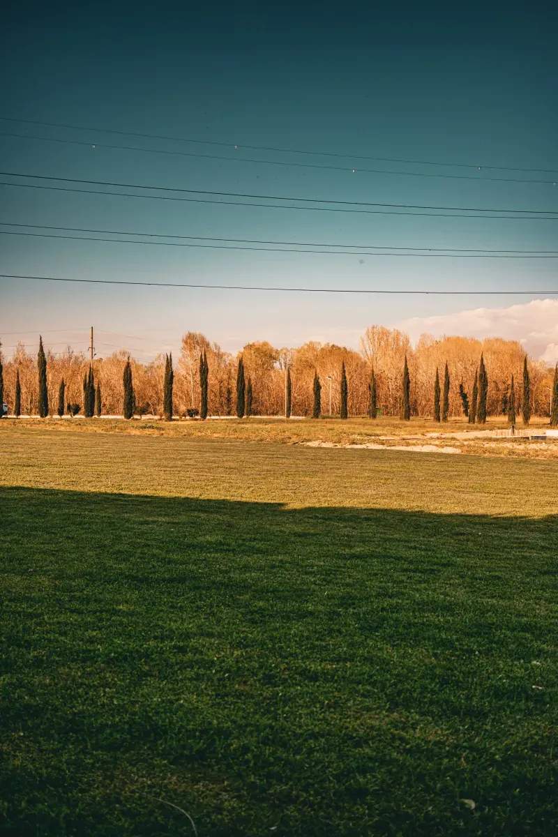 Campo Verde Sierra S.L.