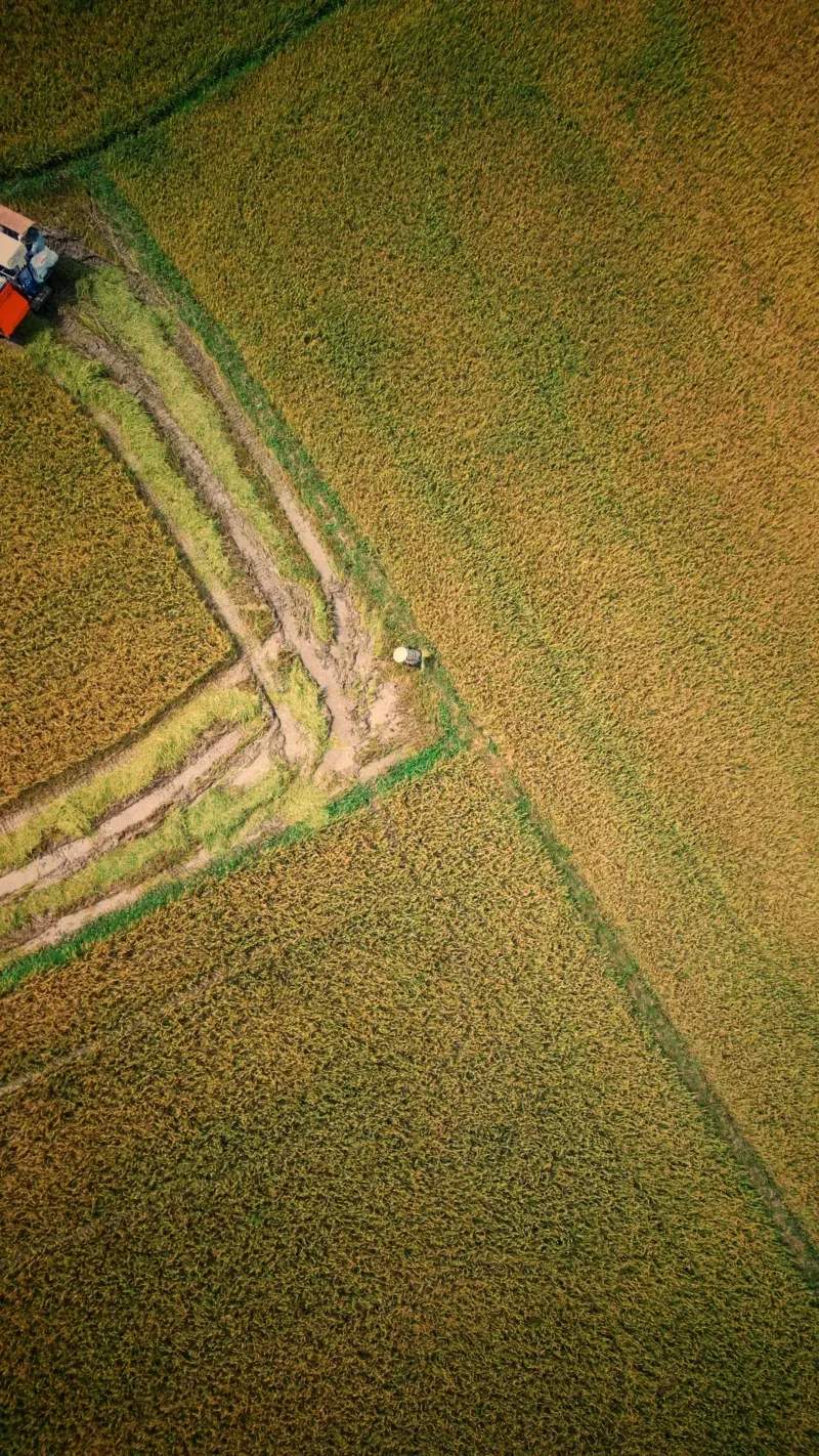 Mantenimiento de fincas y parcelas rurales
