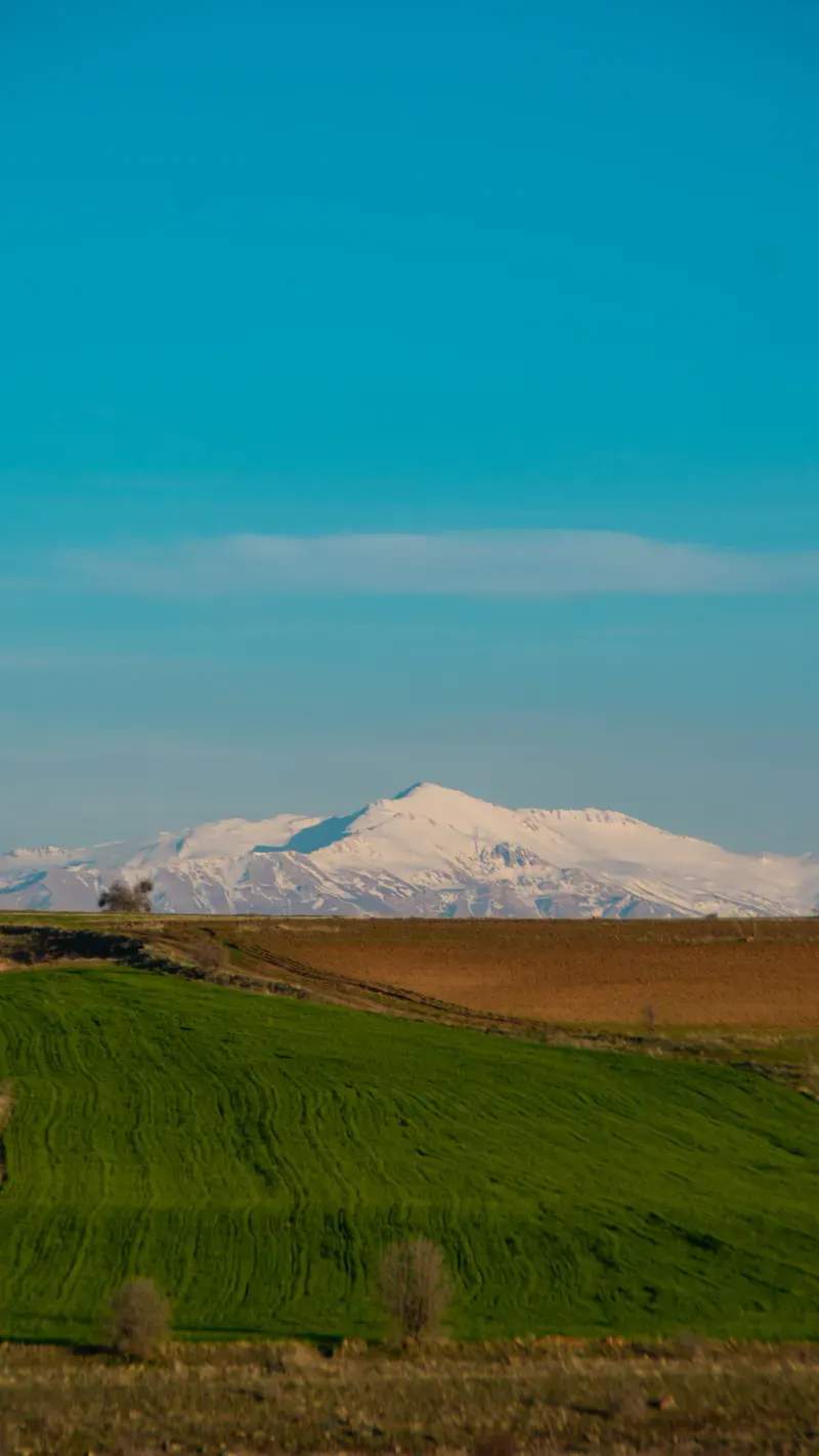Asesoramiento agrícola para cultivos de temporada